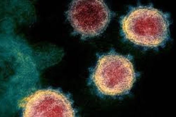 فيروس كورونا: منظمة الصحة العالمية تحذر دول آسيا من "التراخي" لأن الوباء قد "يعود"
