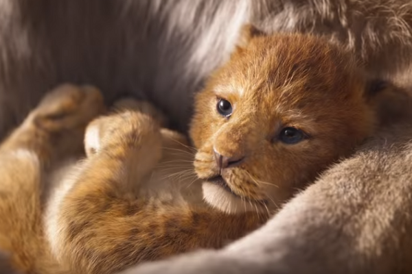 "Lion King" يحقق 40 مليون مشاهدة في 4 أيام (فيديو)