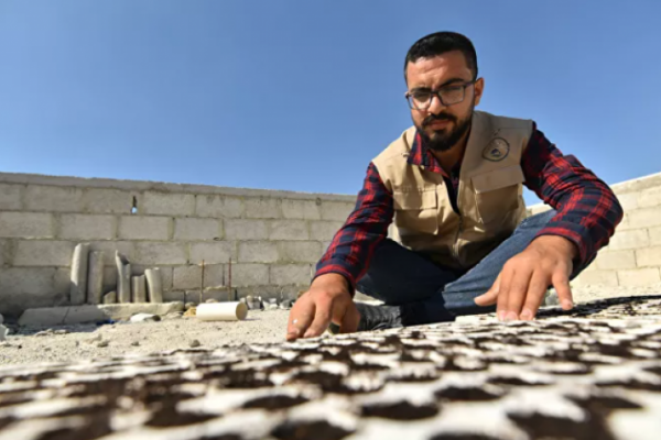 شاب سوري ينتج 35 طن خضراوات على سطح بناية